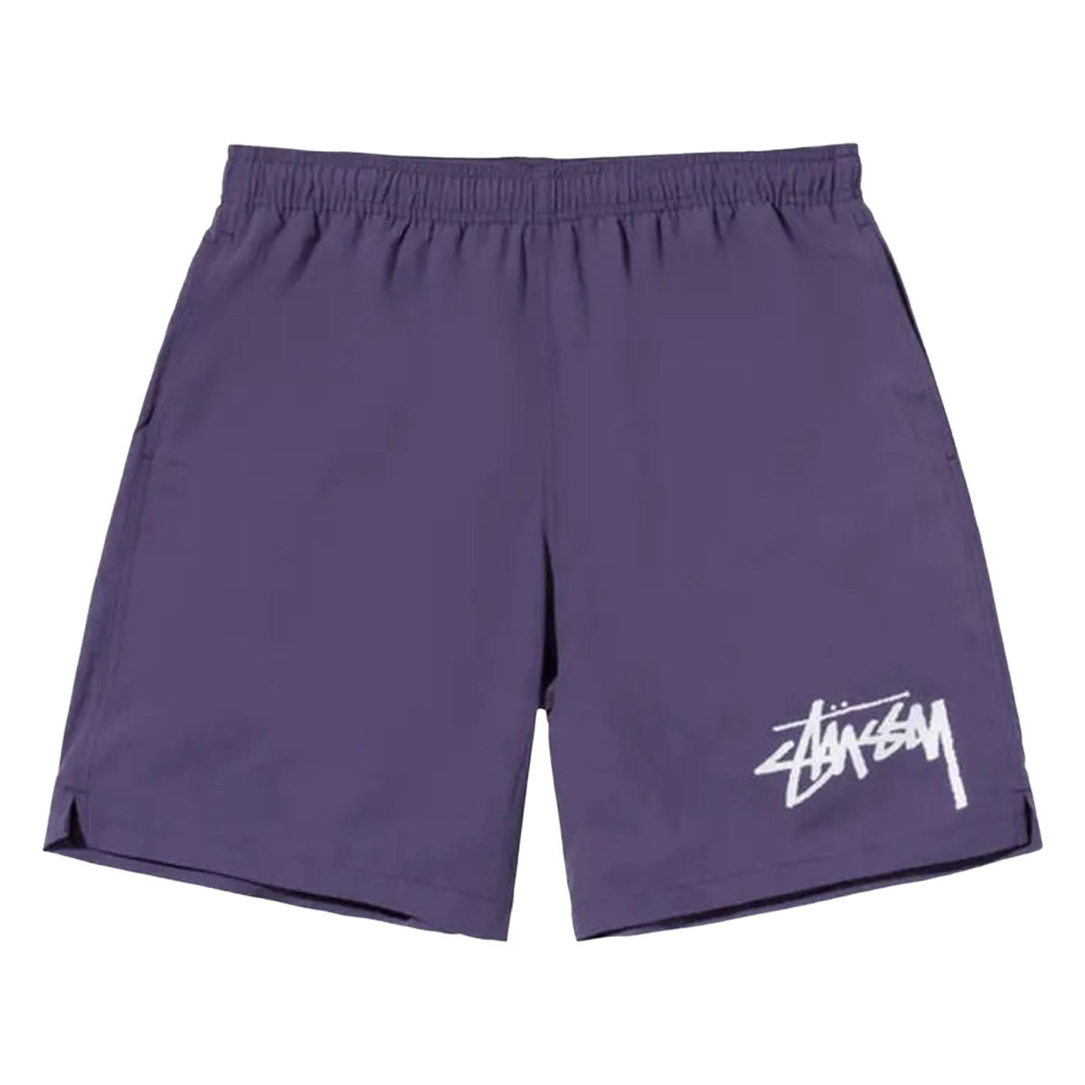 Stussy Big Basic Water Short Purple