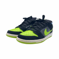 Nike SB Dunk Low Neon J Pack