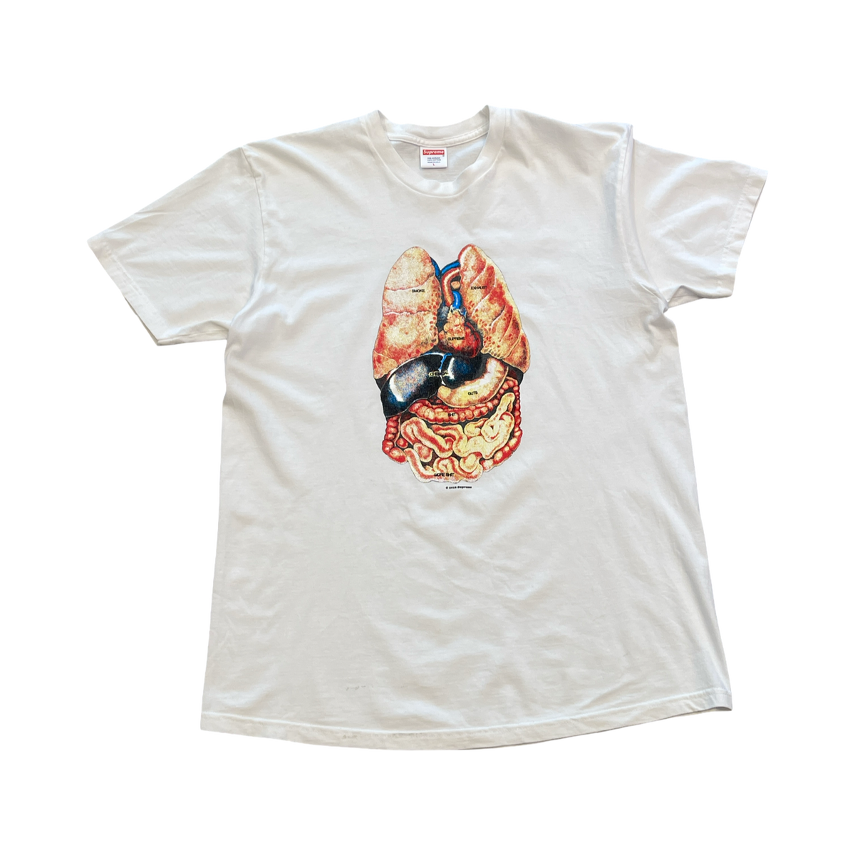 Supreme Guts Tee White