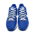 Nike Kobe 6 Protro Dodgers