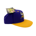 Vintage Minnesota Vikings NFL Play Football Hat Snapback