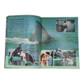 JAWS 3D 1983 Japan Promo Zine