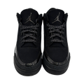 Jordan 3 Retro Black Cat (2025)