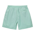 Stussy Big Basic Water Short Mint