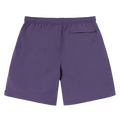 Stussy Big Basic Water Short Purple