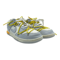 Nike Dunk Low Off-White Lot 29