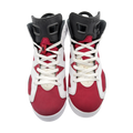 Jordan 6 Retro Carmine (2021)